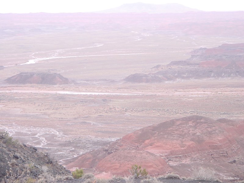 Petrified Forest National Park - Petrified Forest 1-05 382